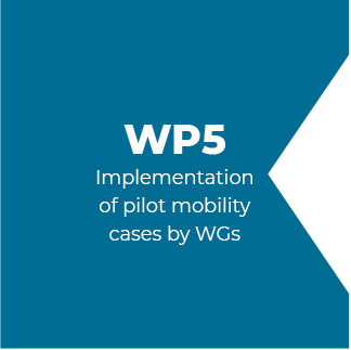 WP5 – Implementation of pilot mobility cases by WGs