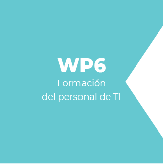 WP6 – Formación del personal de TI