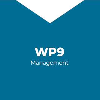 WP9 – Management 