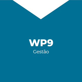 WP9 - Gestão